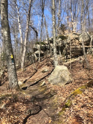 Vin Gormley Trailhead Parking - photo 43