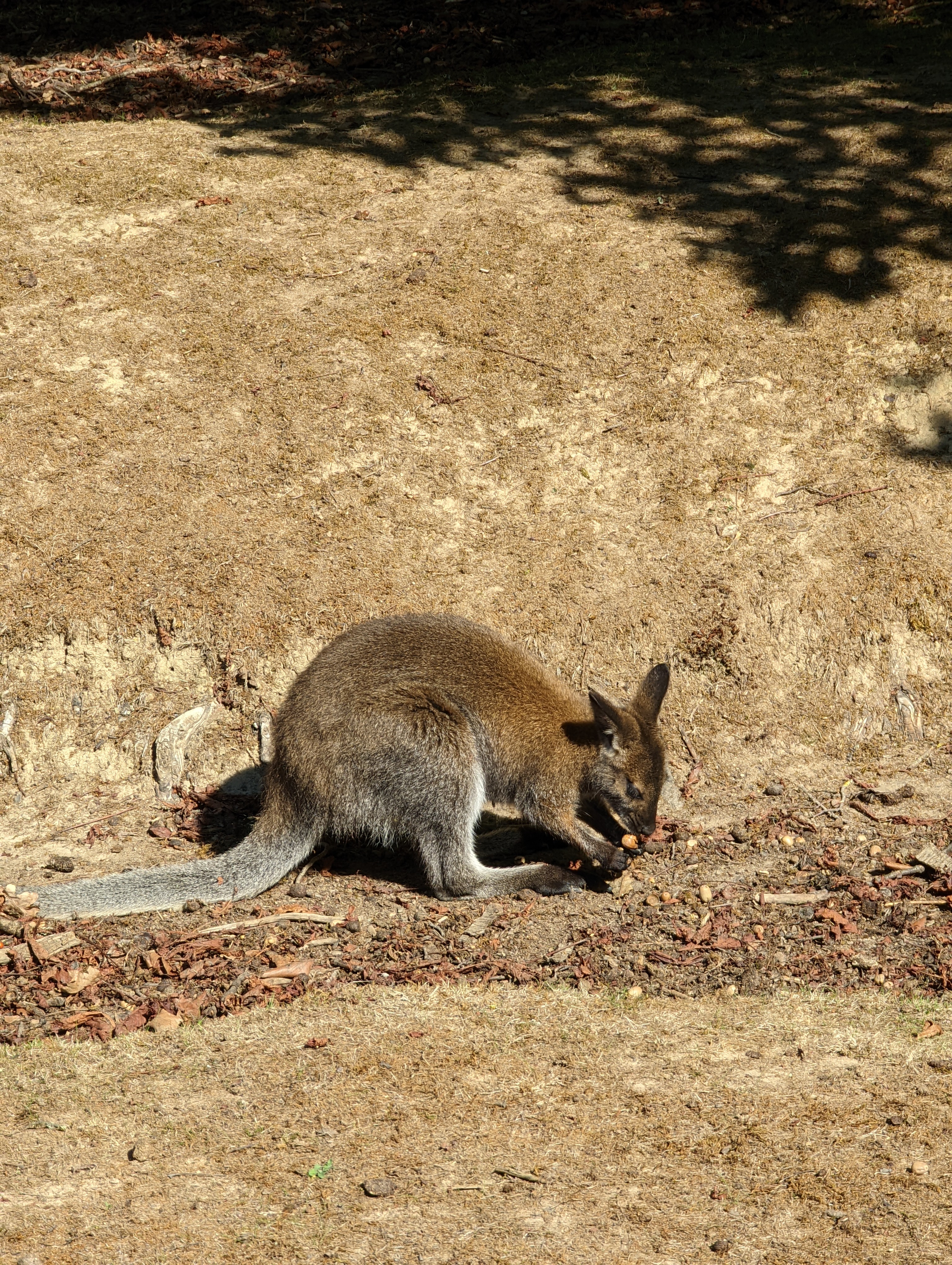 Photo n° 2 de l'avis de Virginie.e fait le 18/09/2022 à 19:51