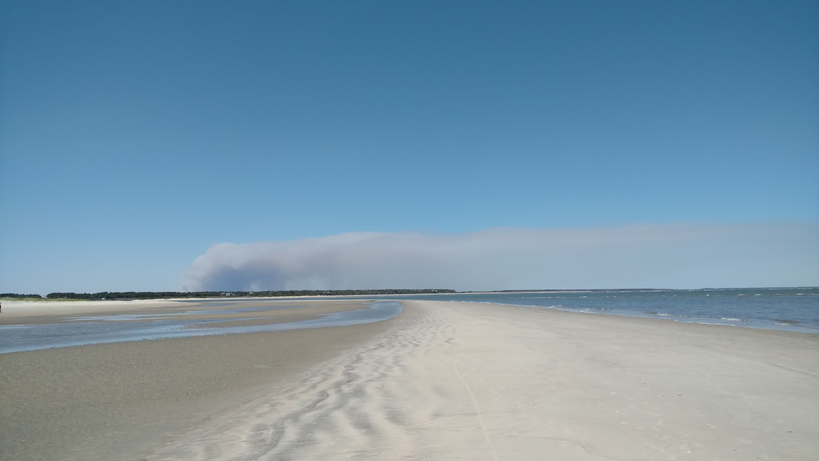 Isle of Palms beach II photo #8