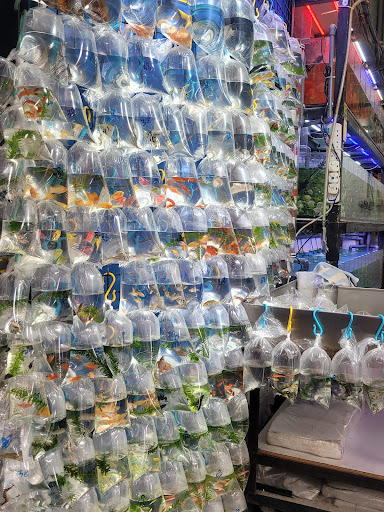 Fisch-Franzl unter Eggenfelden, 