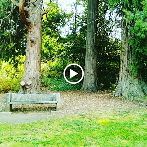 Park «Washburne Park», reviews and photos, E 21st Ave & Agate Street, Eugene, OR 97403, USA