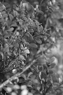 L1ghterfue7 - Photo 7 - Car repair in Billings, MT, Billings