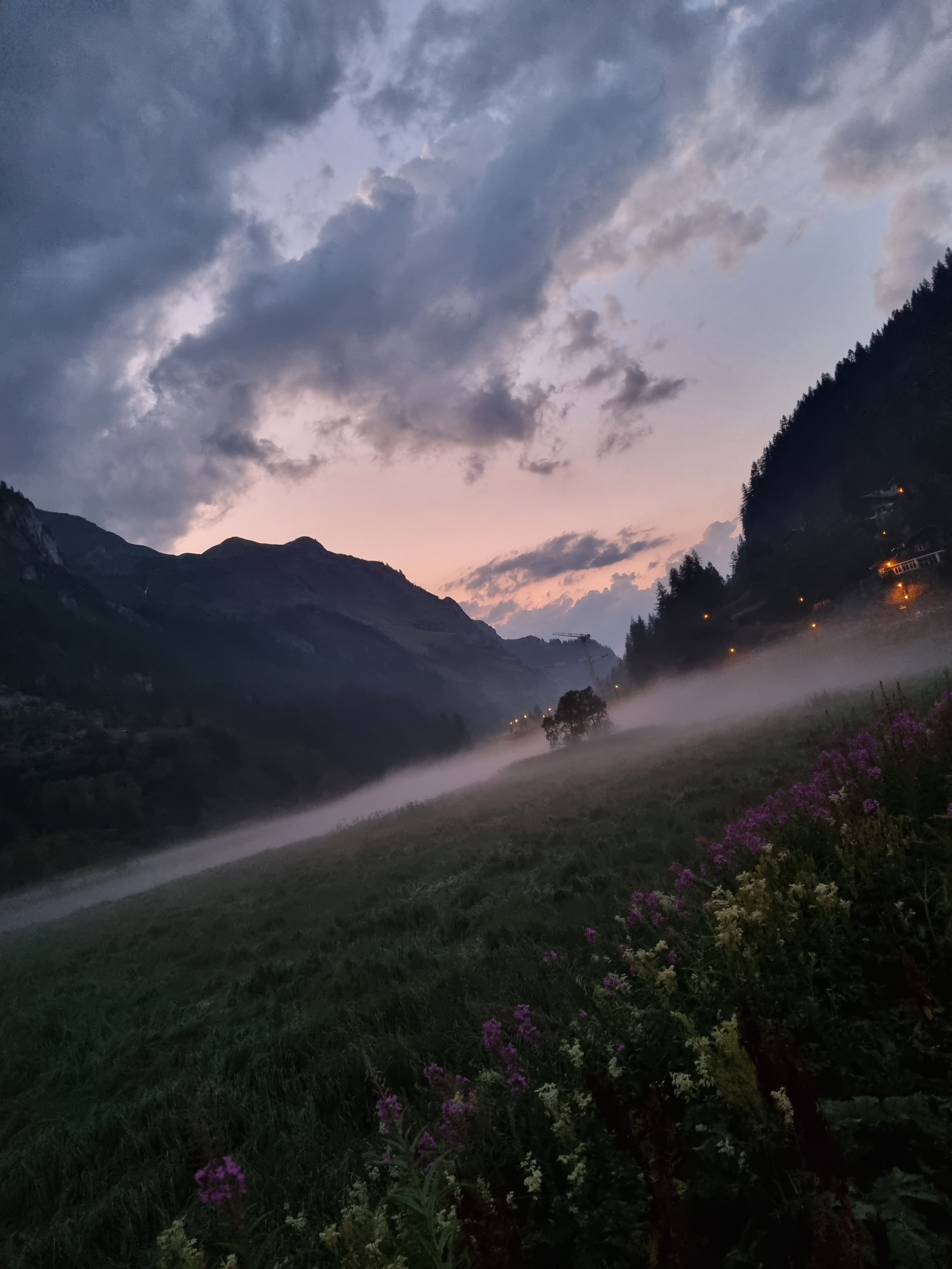 Photo n° 5 de l'avis de Sascha.i fait le 20/07/2022 à 20:27