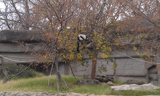 Zoo «Tulsa Zoo», reviews and photos, 6421 E 36th St N, Tulsa, OK 74115, USA