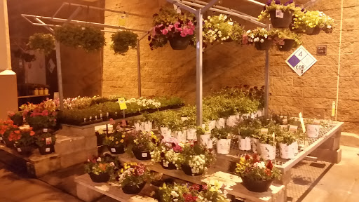 Home Improvement Store «The Home Depot», reviews and photos, 1030 W Sunset Rd, Henderson, NV 89014, USA