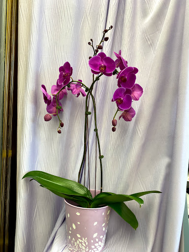 Florist «Morton Grove Florist», reviews and photos, 5741 Dempster St, Morton Grove, IL 60053, USA