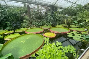 Princess of Wales Conservatory image