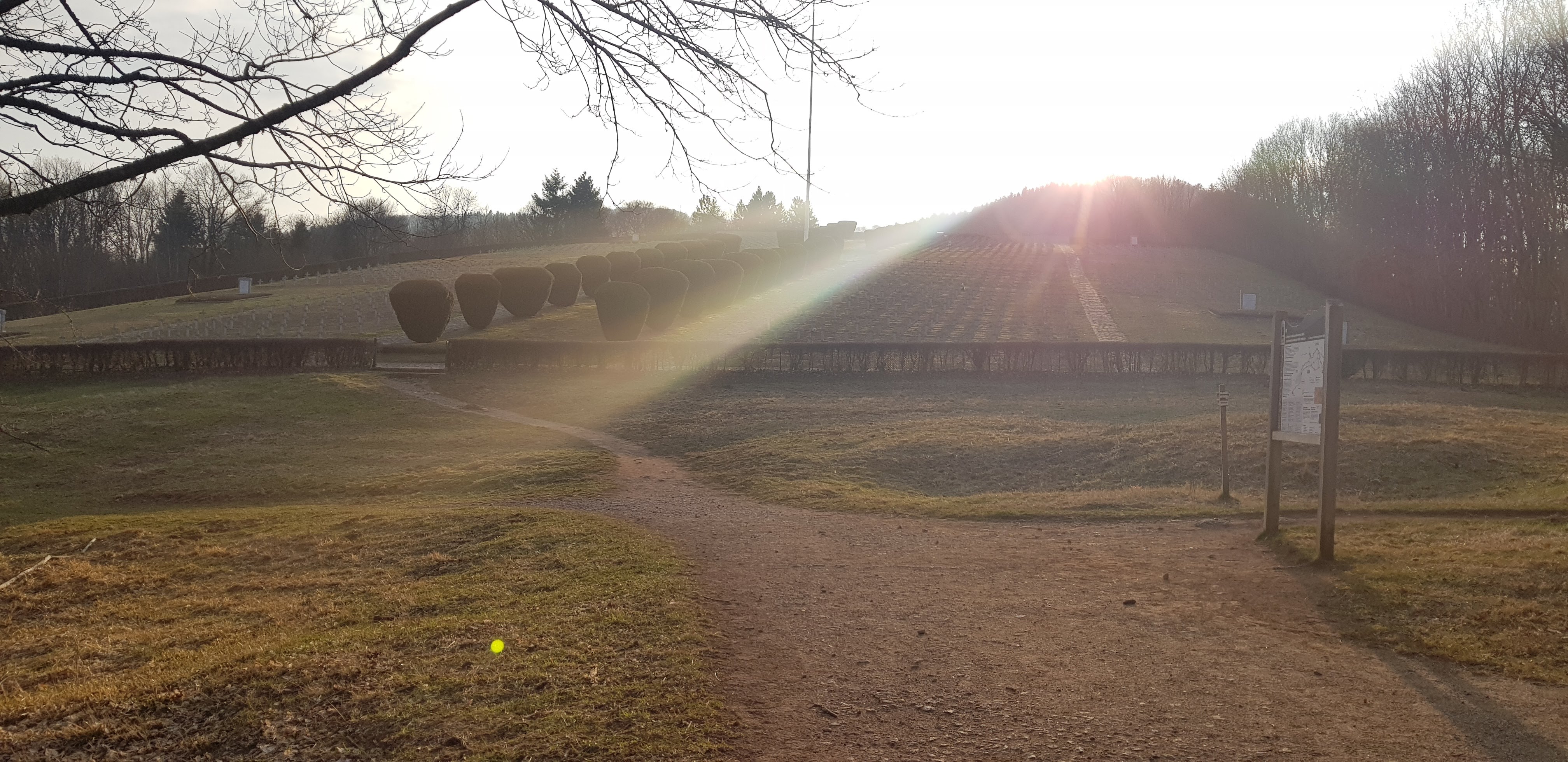 Photo n° 1 de l'avis de Alex.t fait le 22/03/2022 à 18:40