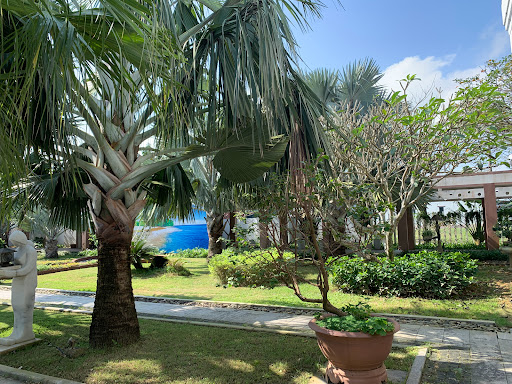 Top 10 cửa hàng đồ gỗ Huyện Đảo Cồn cỏ Quảng Trị 2022