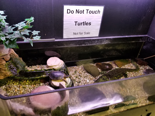 Pet Supply Store «All About Pets», reviews and photos, 9285 Cincinnati Columbus Rd, West Chester Township, OH 45069, USA