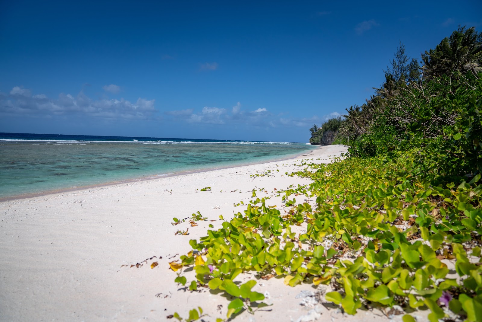 Fotografie cu Coco Palm Beach cu o suprafață de nisip strălucitor și pietre