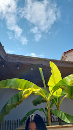 Photo n°24 de Salty à Vendays-Montalivet ()