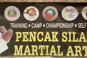 Mixed Martial Arts School for Multiple Games Karate Pencak Silat Taekwondo Boxing Judo image