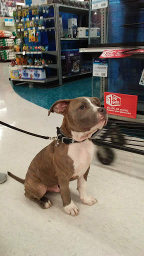 Pet Supply Store «Petco Animal Supplies», reviews and photos, 2520 E 3rd St, Bloomington, IN 47401, USA