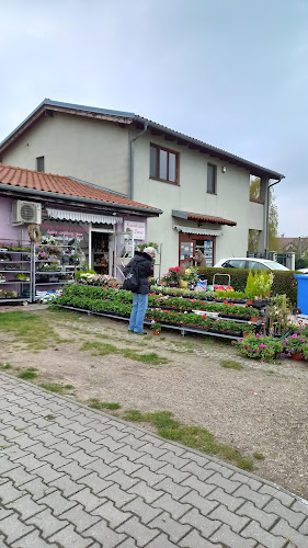 Recenzie Kvetinárstvo Viera v Bratislava - Kvetinárstvo