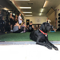 The Performance Ranch - Photo 7 - Car repair in Albuquerque, NM, Albuquerque