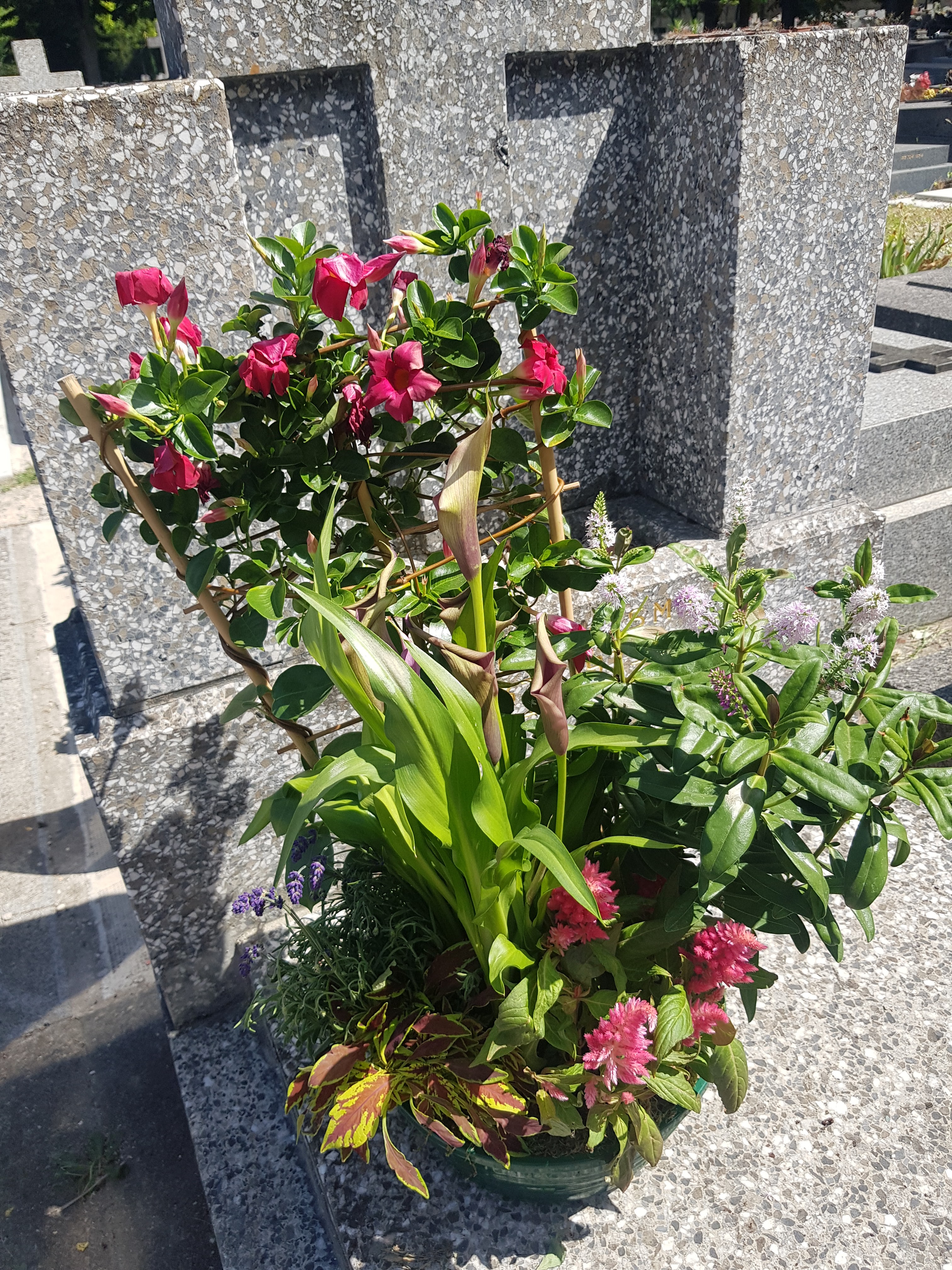 Photo n° 1 de l'avis de Martine.o fait le 18/07/2022 à 13:11