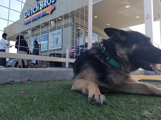 Dutch Bros Coffee image