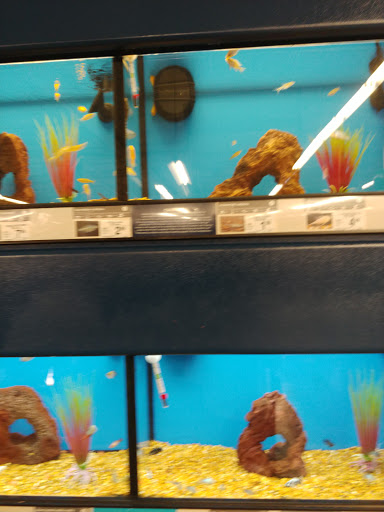 Pet Supply Store «Petco Animal Supplies», reviews and photos, 3800 S Tamiami Trail #20, Sarasota, FL 34239, USA