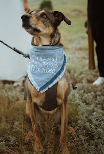 I Chews You LLC - Photo 9 - Car repair in , Lakewood