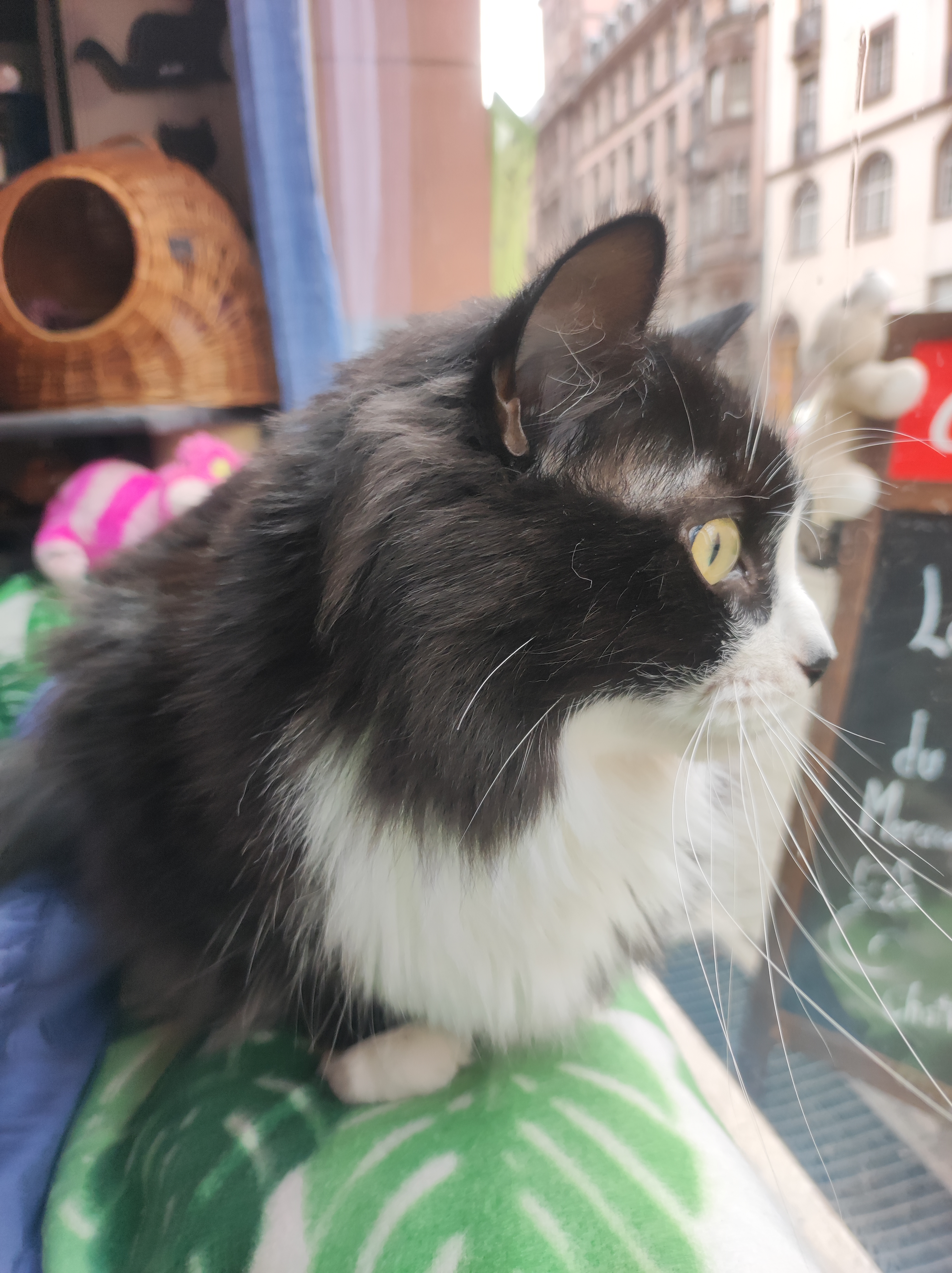 Photo n° 3 de l'avis de manou.7 fait le 29/11/2018 à 12:29