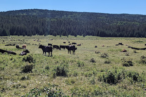 Cypress Hills Interprovincial Park West Block Wilderness Area