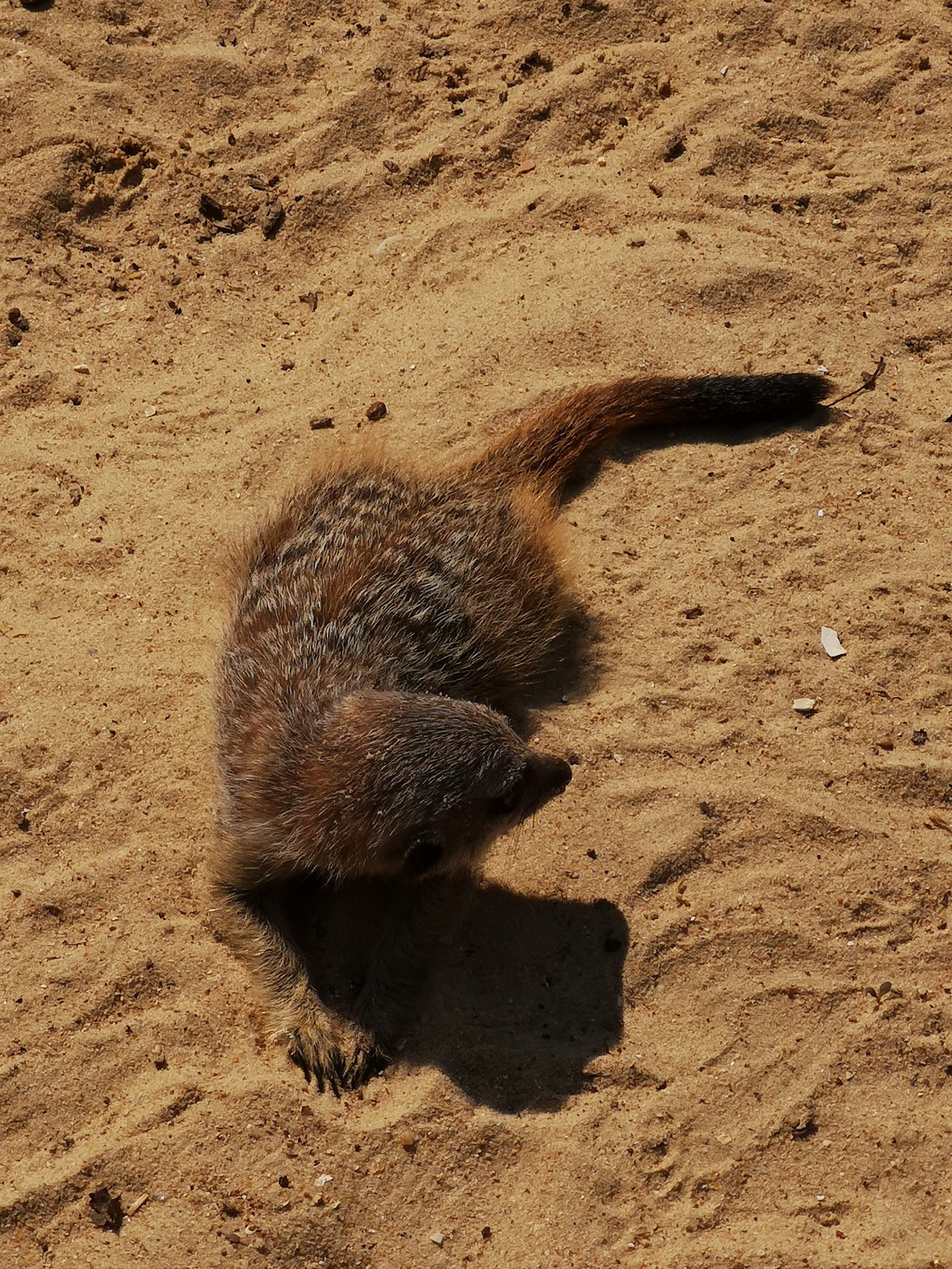 Photo n° 23 de l'avis de Bryan.r fait le 24/04/2018 à 19:19