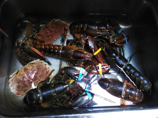 Tropical Fish Store «Aquastetics», reviews and photos, 354 E Main St, Fall River, MA 02724, USA