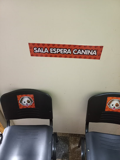 Veterinaria Clínica veterinaria patas en San Luis