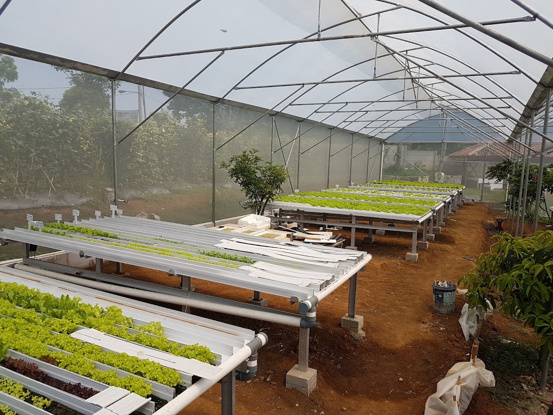 Noor Hydroponics Greenhouse