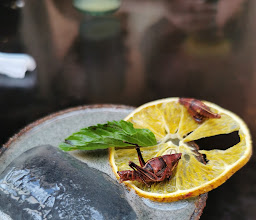 Tikua Sur - Este photo