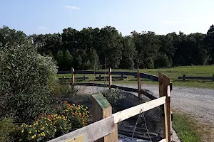 Mustang Trailhead image