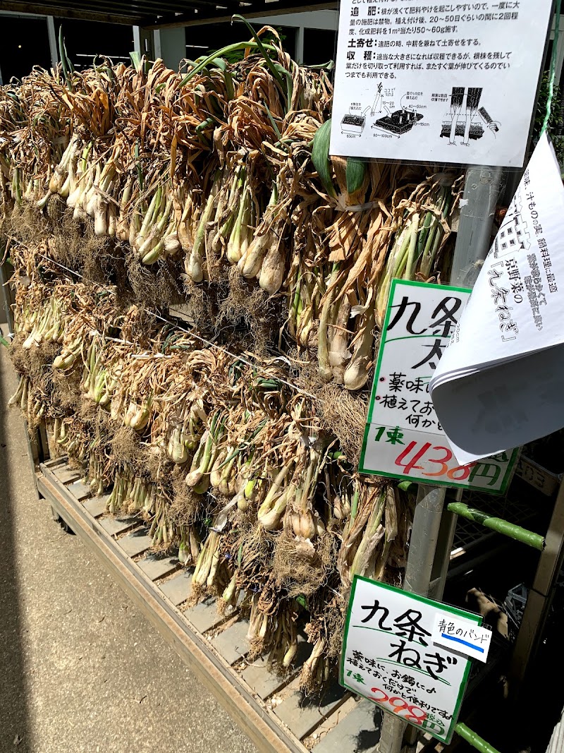 リバティー岡本 大阪府堺市南区御池台 園芸センター 花 グルコミ