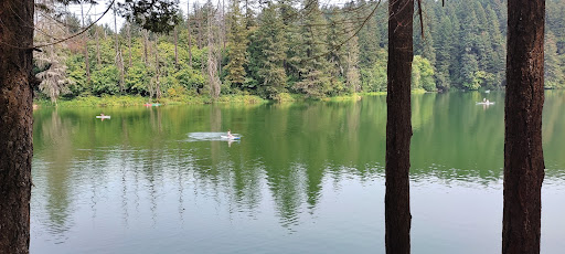 Produce Market «Camas Produce», reviews and photos, 2940 NE Everett St, Camas, WA 98607, USA