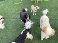 Tail Command - Photo 6 - Car repair in Springfield, IL, Springfield