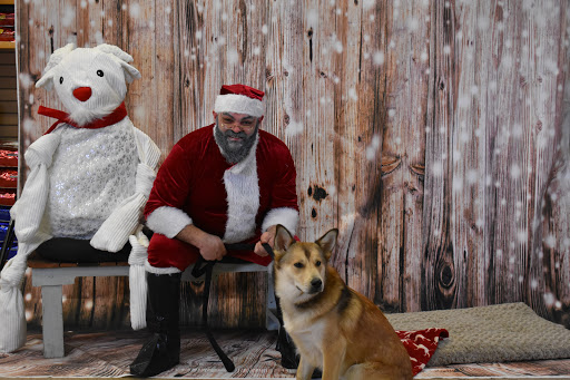 Pet Supply Store «Thomaston Feed of Cheshire», reviews and photos, 851 S Main St, Cheshire, CT 06410, USA