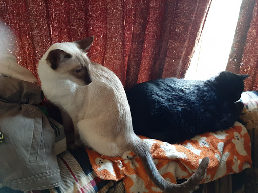 135 Main St, South River, NJ 08882, USA