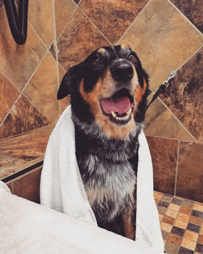 Pet Store «Pet Valu», reviews and photos, 4727 Freemansburg Ave, Bethlehem, PA 18020, USA