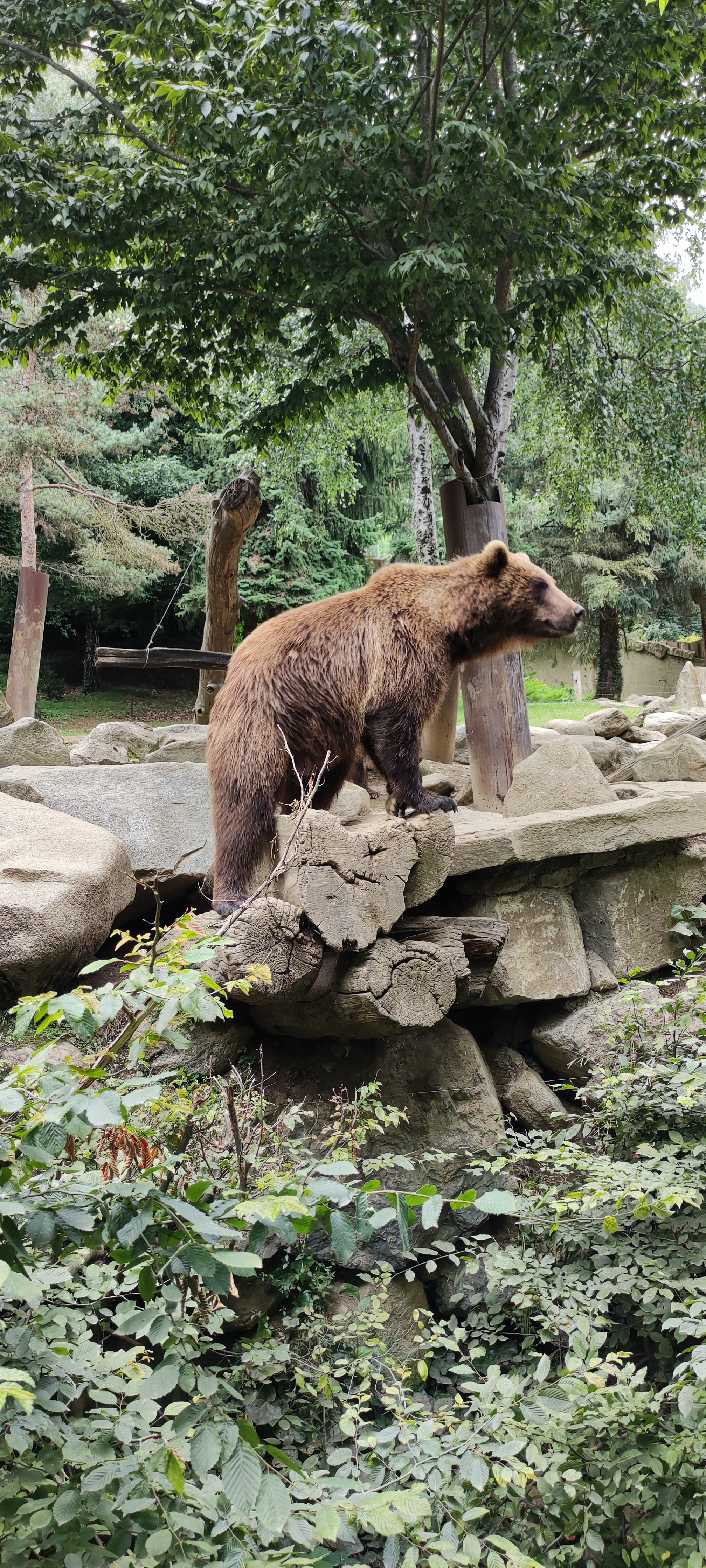 Photo n° 7 de l'avis de Aurélie.i fait le 15/07/2021 à 17:00