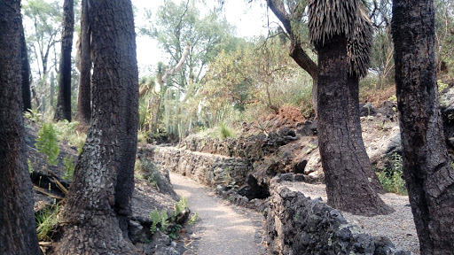 Reserva Ecológica del Pedregal de San Ángel: Núcleo Poniente