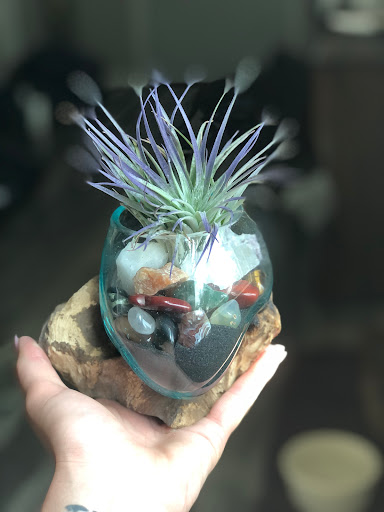 Boutique «Mexicali Blues: Bangor», reviews and photos, 1 W Market Square, Bangor, ME 04401, USA