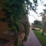 Photo n°47 de l'avis de Michele.o fait le 04/07/2021 à 21:38 sur le  Green Garden Club à Briatico