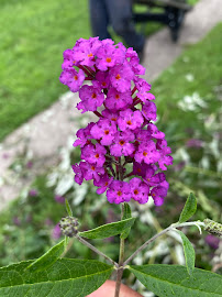 Bright Landscaping - Photo 6 - Car repair in Philadelphia, PA, Philadelphia