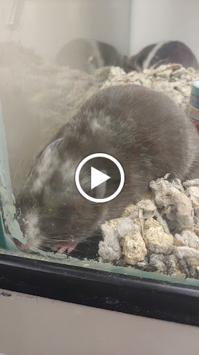 Pet Supply Store «Petco Animal Supplies», reviews and photos, 3637 2700 W, West Valley City, UT 84119, USA