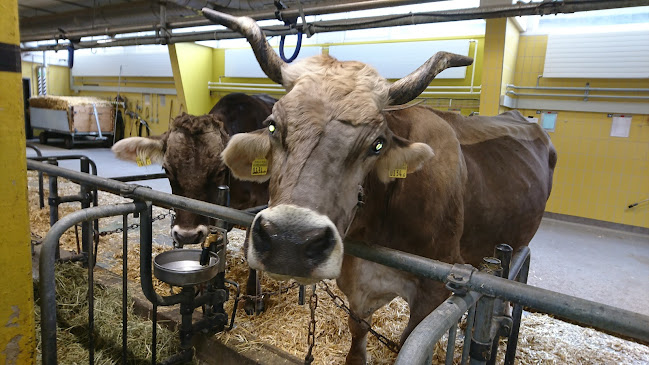 Rezensionen über Tierspital in Zug - Tierarzt