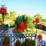 Photo n°2 de l'avis de YUKA.U fait le 14/09/2018 à 13:46 sur le  Hotel Relais Sant'Eligio à Ostuni