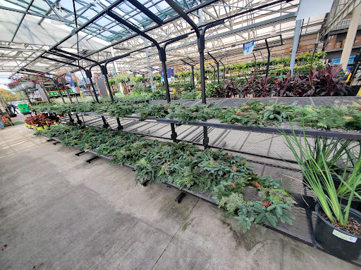 Lowe's Garden Center