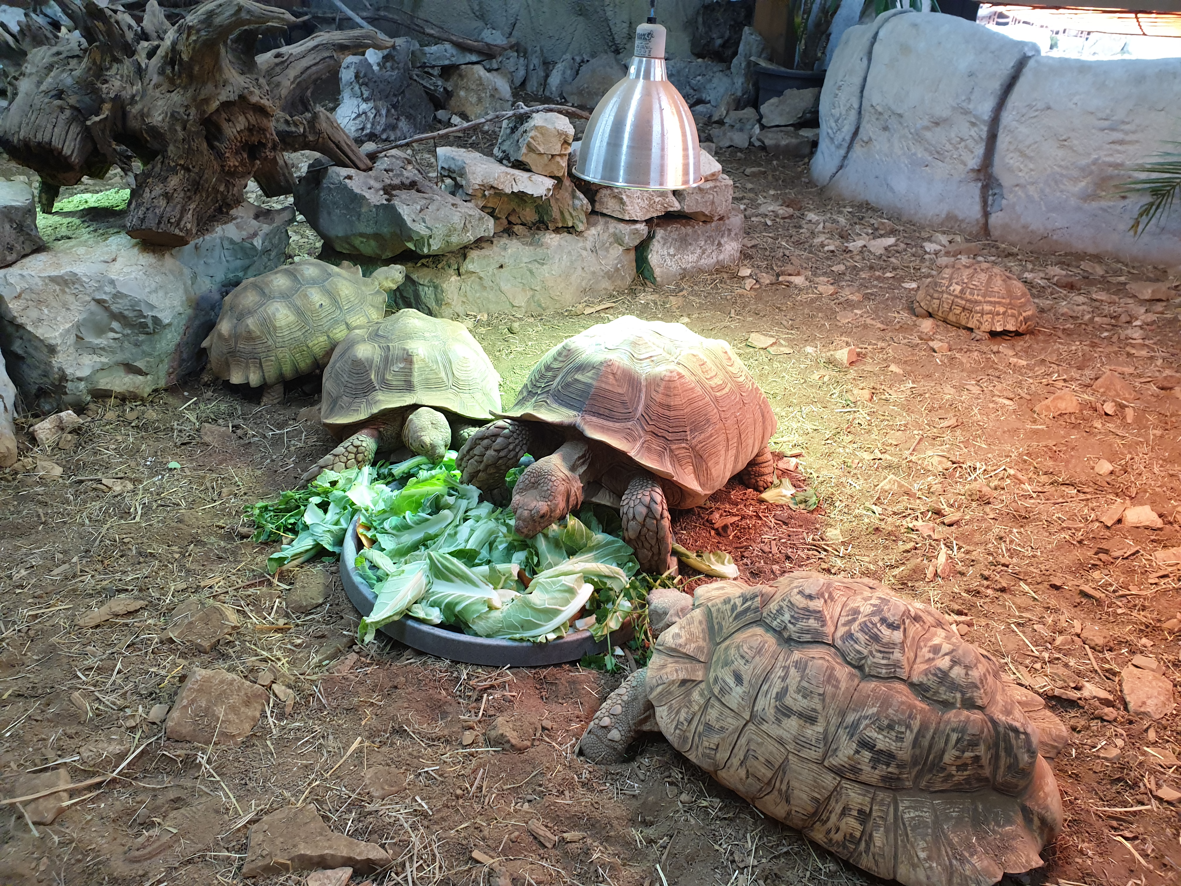 Photo n° 5 de l'avis de Anais.a fait le 01/03/2023 à 07:18