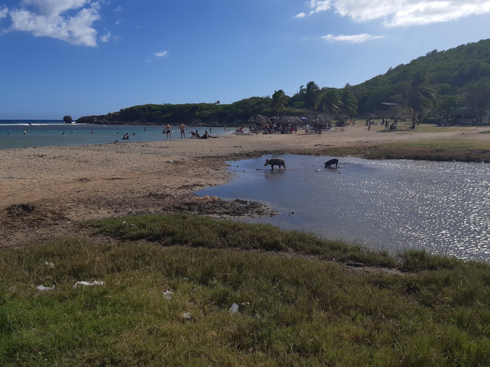 Foto von Playa Bueycabon und die siedlung