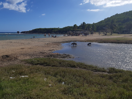Playa Bueycabon